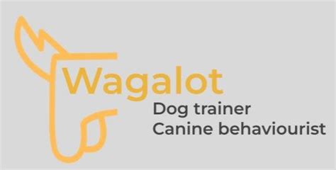 Wagalot Pets. Dog training and behaviourist